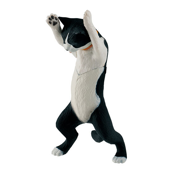 真剣白刃取りする猫~ペン置けました~