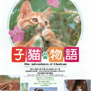 映画『子猫物語』チラシ（表面）