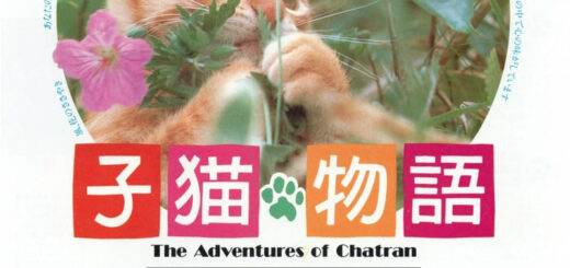映画『子猫物語』チラシ(表面)