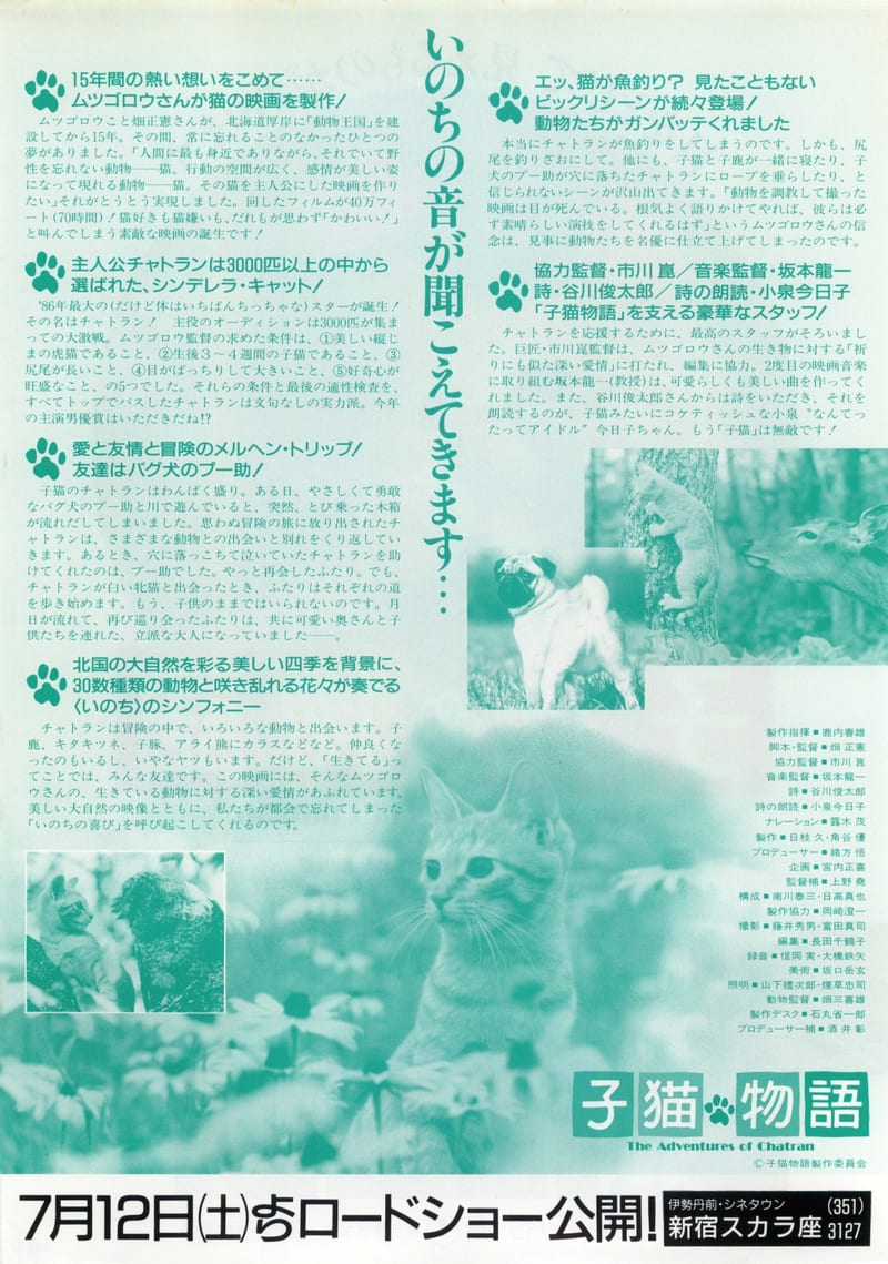 子猫物語('86子猫物語製作委員会) DVD 坂本龍一