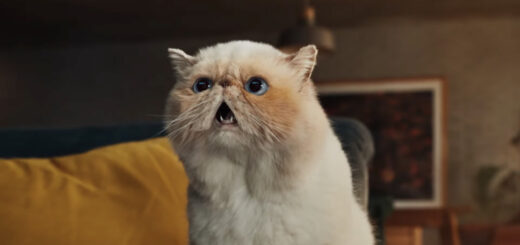 サムスン電子のCM "2023 Neo QLED 8K: More Wow than Ever”