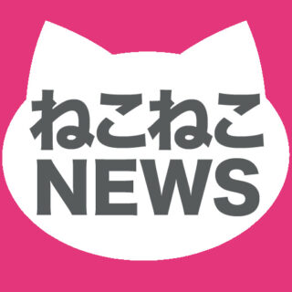 ねこねこNEWS_白猫ロゴ1_510×510