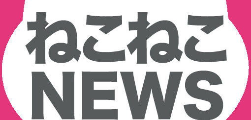 ねこねこNEWS_白猫ロゴ1_510×510