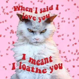 ポンパス・アルベルト君のバレンタイン・カード