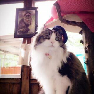 会津鉄道・芦ノ牧温泉駅らぶ駅長と名誉駅長ばすちゃんのツーショット