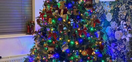 クリスマスツリーに隠れた白猫ムーンちゃん
