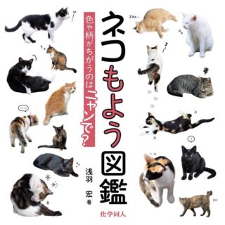 ネコもよう図鑑: 色や柄がちがうのはニャンで?