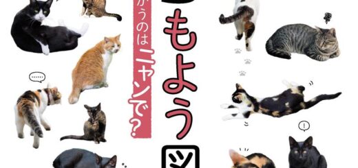 ネコもよう図鑑: 色や柄がちがうのはニャンで?