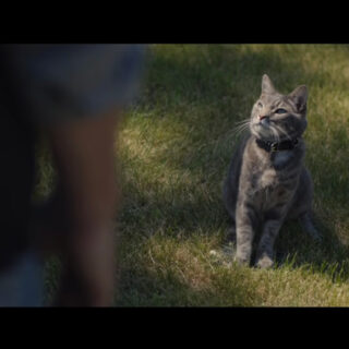 シボレー・シルバラードCM：2021 Chevy Silverado – Cat