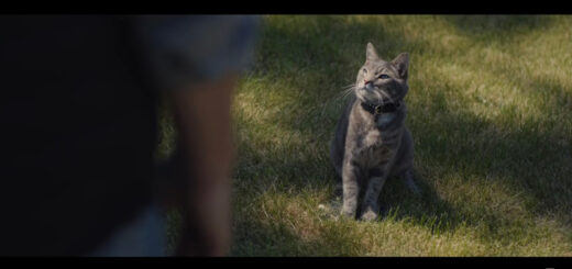 シボレー・シルバラードCM：2021 Chevy Silverado – Cat