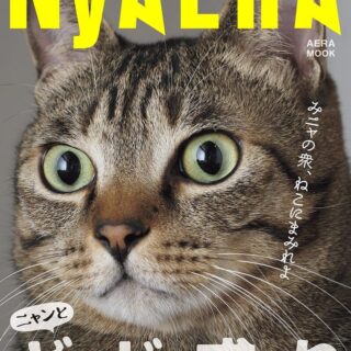 NyAERA (ニャエラ) ギガ盛り (AERAムック)