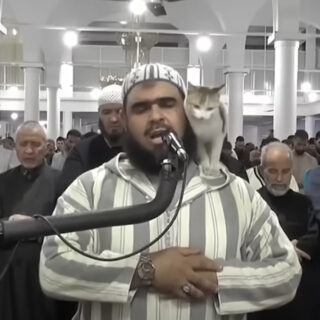 ラマダン中のモスクで導師の肩の上に乗る野良猫