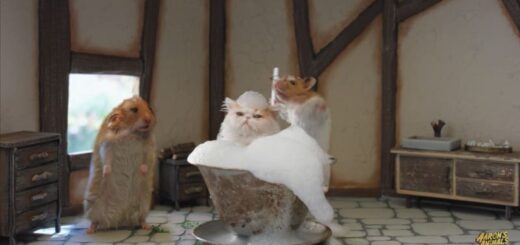 The Cat Raised by a Mouse