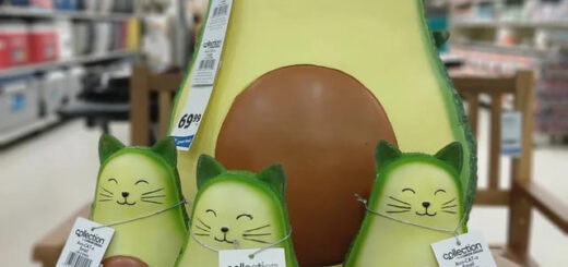 カナダのドラッグストア「London Drugs」のオリジナル商品 、AVO-CAT-O