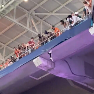 ハードロック・スタジアムのデッキから宙吊りになる猫