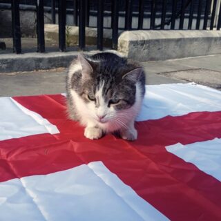 イングランドの国旗の上のラリー君