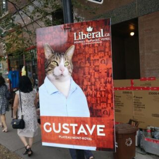 モントリオールに掲示されたカナダ総選挙の猫顔ポスター