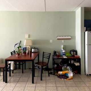 猫が隠れている画像