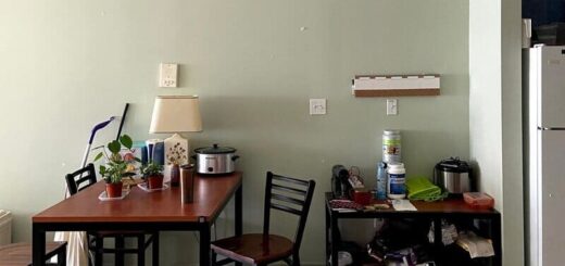 猫が隠れている画像