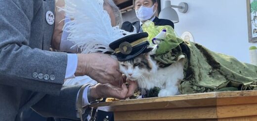 「社長代理」メダルを装着中のニタマ駅長