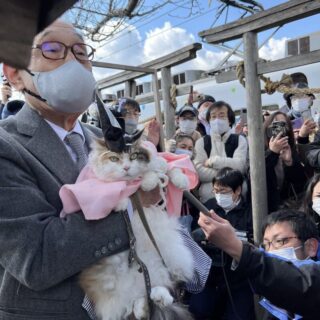たま神社の宮司に就任したニタマちゃん