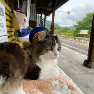 会津鉄道 芦ノ牧温泉駅のらぶ駅長