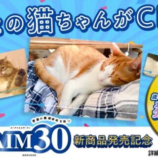 #AIM30でめざせ猫人生30年 歳をとるほど可愛くなる猫動画投稿キャンペーン