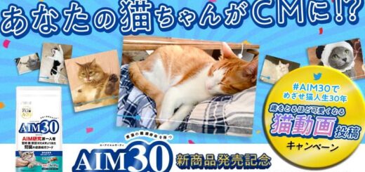#AIM30でめざせ猫人生30年 歳をとるほど可愛くなる猫動画投稿キャンペーン