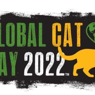 Global Cat Day 2022
