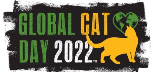 Global Cat Day 2022