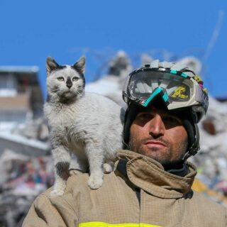トルコで地震の救助活動を行う消防隊員アリ・カカスさんと彼に保護された猫のエンカス