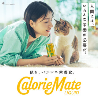 猫の「にほし」ちゃんが出演しているカロリーメイトリキッドのCM