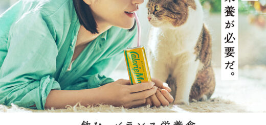 猫の「にほし」ちゃんが出演しているカロリーメイトリキッドのCM