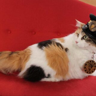 和歌山電鐵 ニタマ駅長