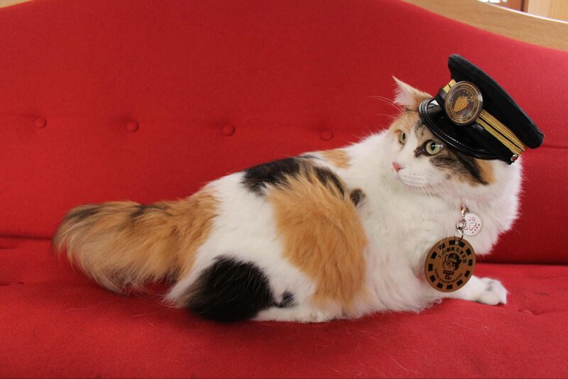 和歌山電鐵 ニタマ駅長