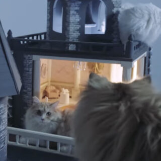 PlayStation Japan 公式 ゲーム猫 第三回 『BIOHAZARD VILLAGE』