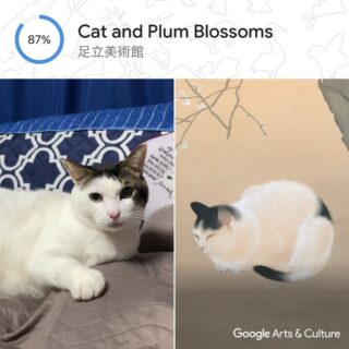 Google Art & Culture ペットポートレート