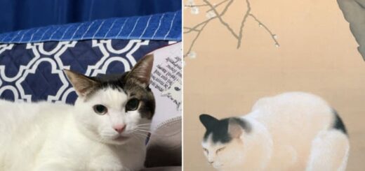 Google Art & Culture ペットポートレート