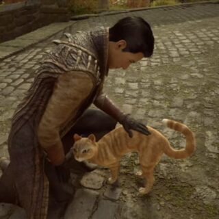 PS5『ホグワーツ・レガシー』に登場する猫