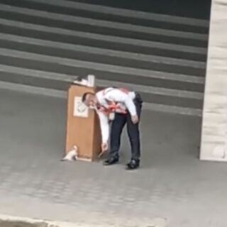 警備員と子猫（フィリピン ケソン市）