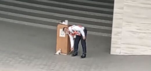 警備員と子猫(フィリピン ケソン市)