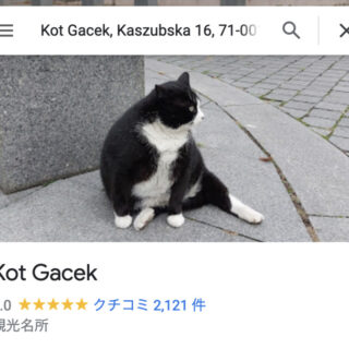 Google mapに表示されるカシュプスカ通りの人気猫、ガセク君
