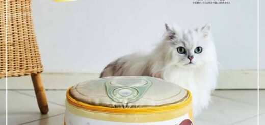 Mon Petit ほんものそっくり! ふわふわ収納ボックスBOOK