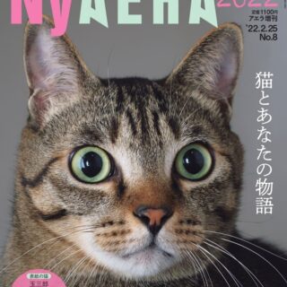 「NyAERA2022」AERA（アエラ）臨時増刊