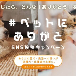 ユニ・チャームペット #ペットにありがと SNSキャンペーン 2021