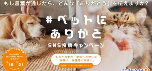 ユニ・チャームペット #ペットにありがと SNSキャンペーン 2021