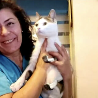 3本の義足で歩けるようになった猫のペルセウスと担当獣医のソフィア・ゾイさん