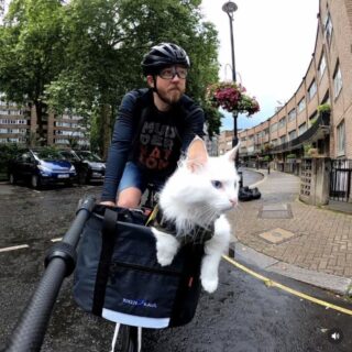 ロンドンの街中でサイクリングを楽しむシグリッドちゃん