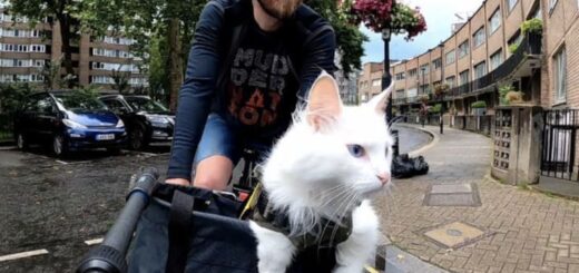 ロンドンの街中でサイクリングを楽しむシグリッドちゃん