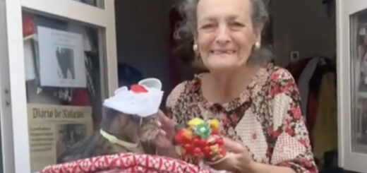 通りすがりの人たちに愛猫を披露するポルトガルのご婦人